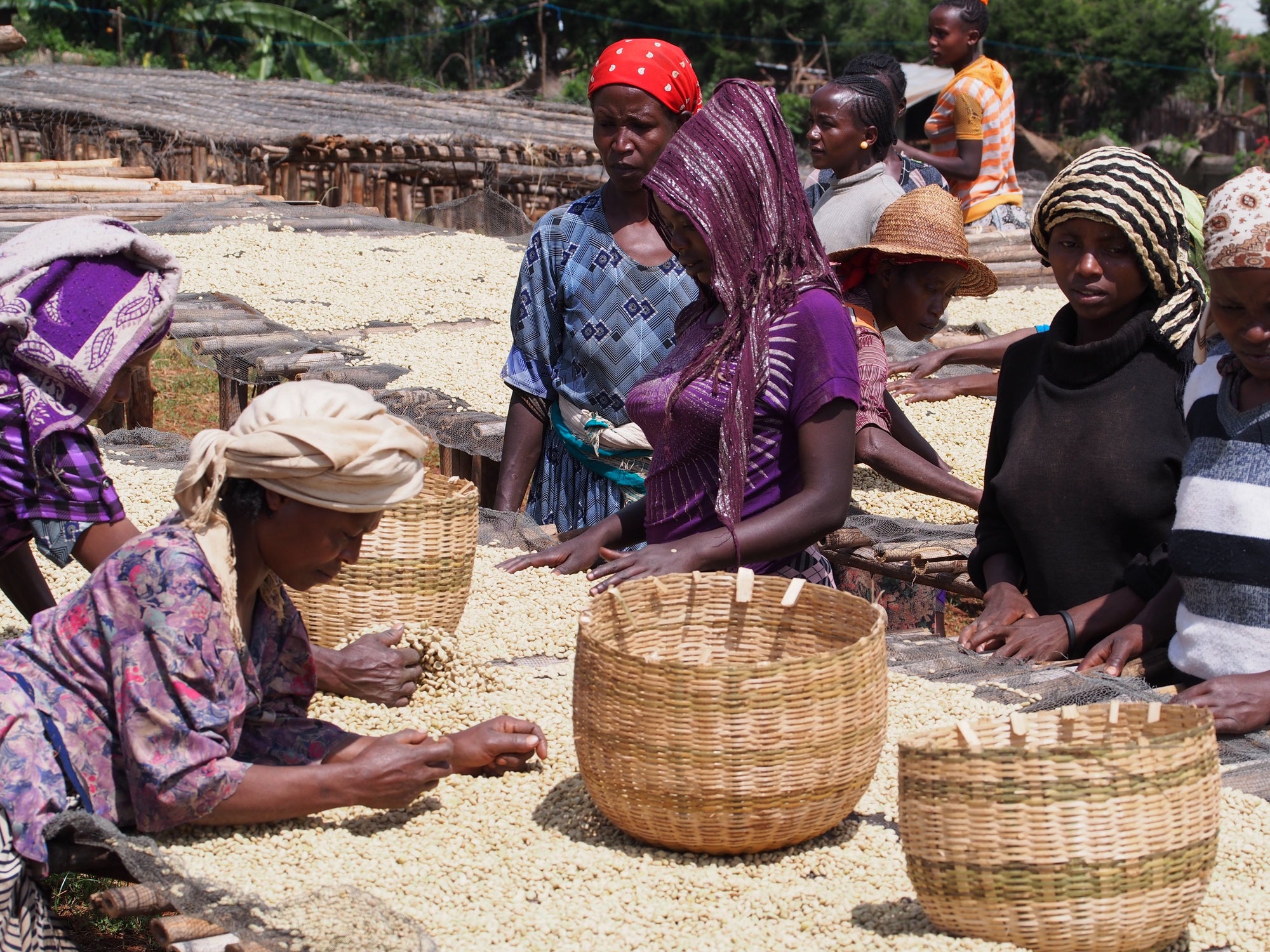 Příběh Kávy z Etiopie a Rwandy