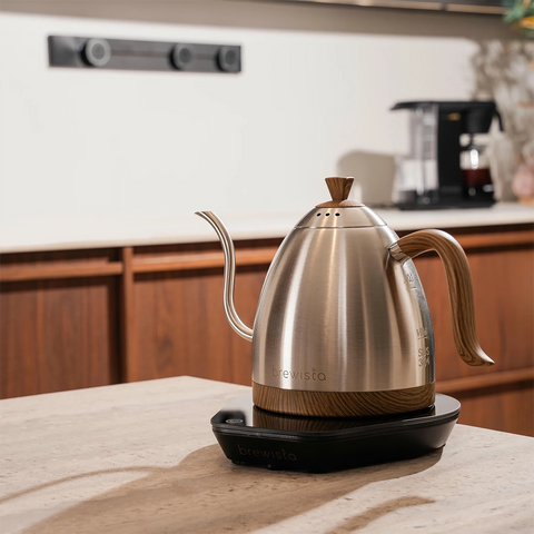 Brewista Artisan Gooseneck Silver Teapot 1 l